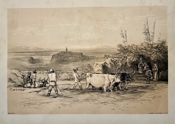 Lear Edward (1812-1888) Roiate 1841 Londra